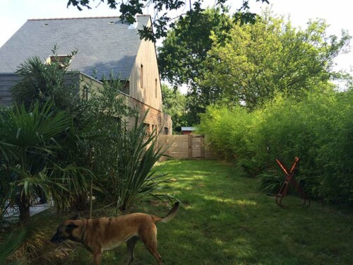 extension ossature et bardage bois guérande 44 OCEAM